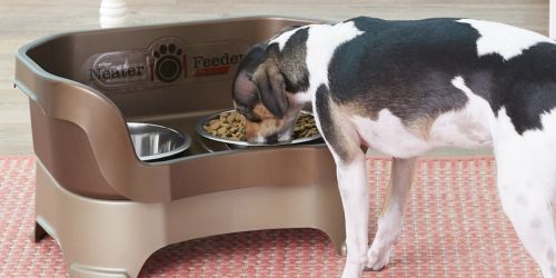 Deluxe Pet Feeder Only $20 on Amazon (Regularly $50) | Over 14,000 5-Star Reviews