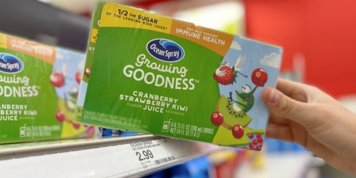 Ocean Spray Juice Boxes 8-Count Only $1.49 at Target | In-Store & Online