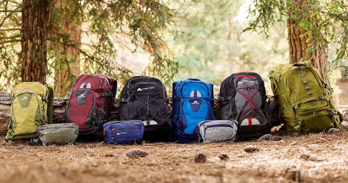 row of backpacks on the ground