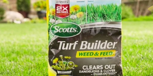 Scotts Turf Builder Weed & Feed 14.54lb Bag Only $14.86 Shipped on Amazon (Regularly $27)