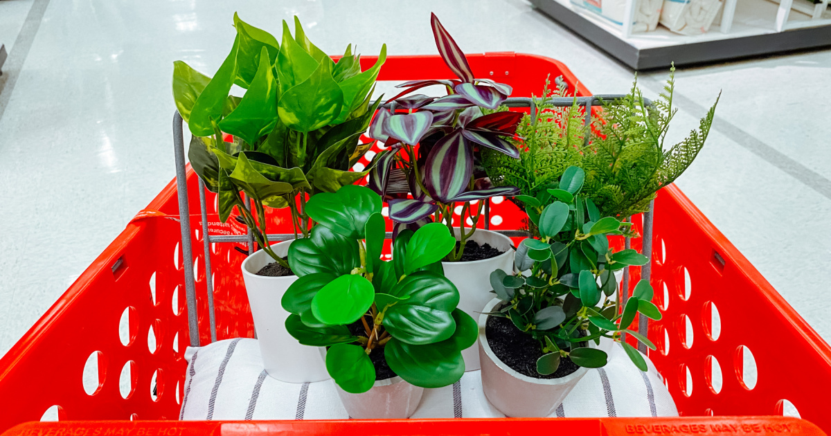 40% Off Target Artificial Potted Plants | Prices from $3
