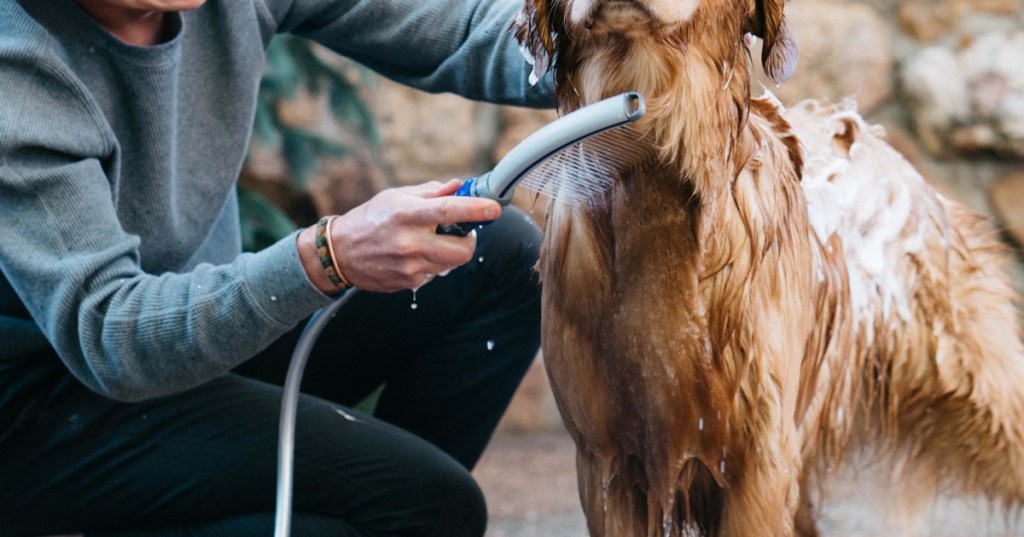 Waterpik Pet Wand Pro