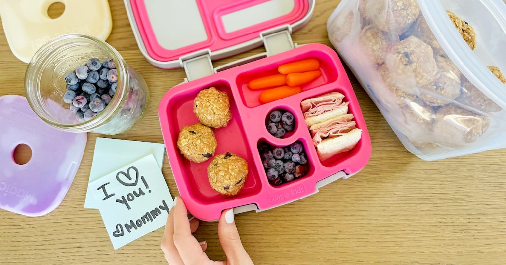 hand holding the corner of a pink and gray bento style lunchbox