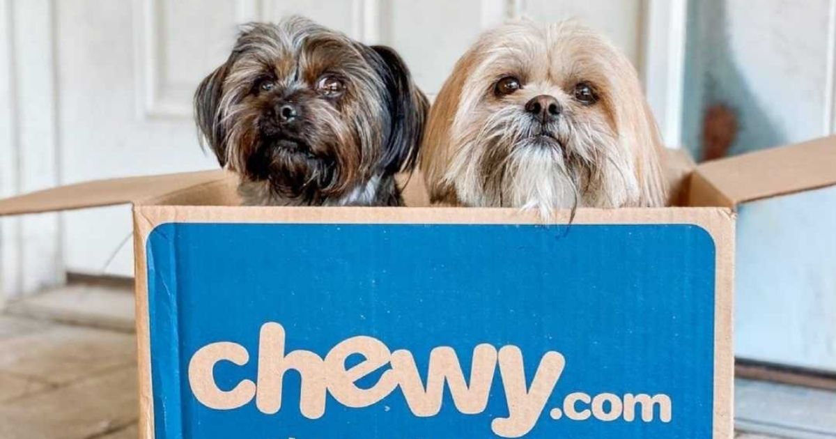 chewy goody boxes
