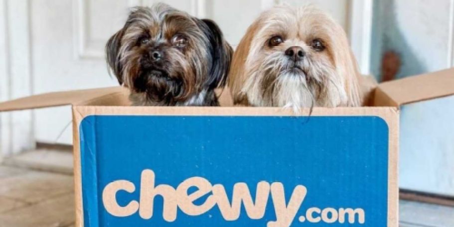 Up to 60% Off Chewy Cyber Monday Sale | Save on Pet Treats, Toys, Food, & More!