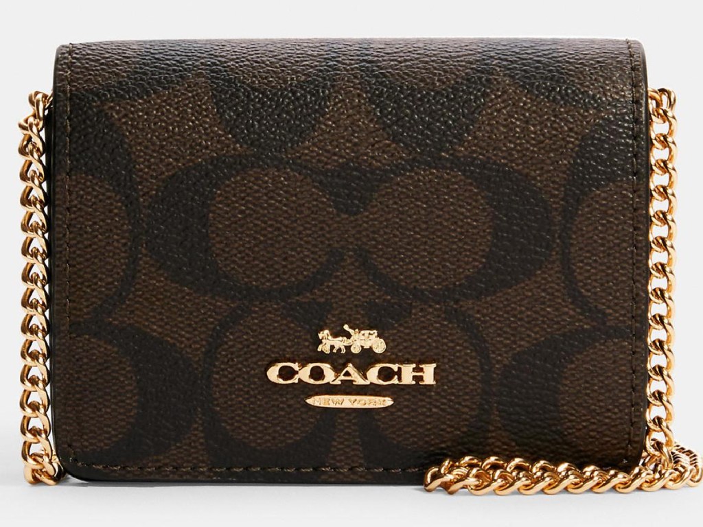 coach wallet on a chain