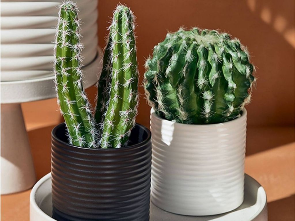 faux plants in ribbed pots
