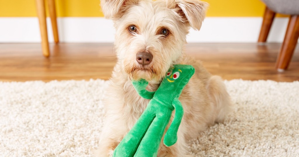 small tan dog with gumby toy