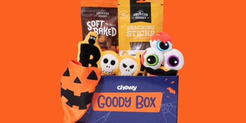** Halloween Goody Box Just $14 on Chewy.com (Regularly $33) + Save on More Halloween Pet Toys