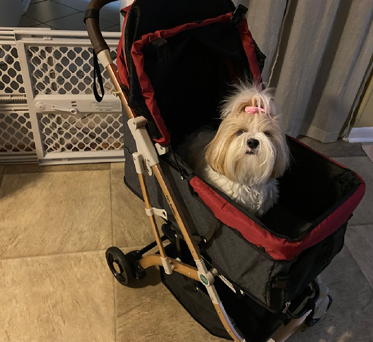 Costco 2025 pet stroller