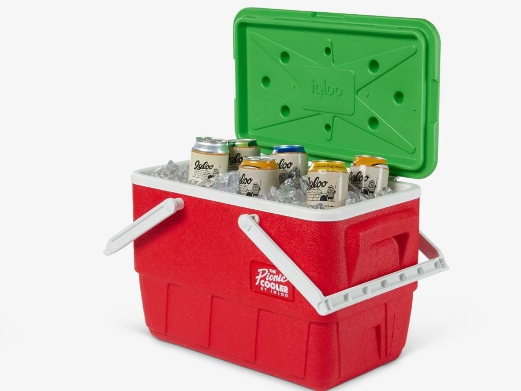 red igloo cooler with green lid
