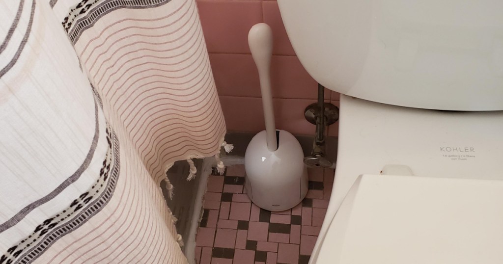 bathroom showing toilet brush next to toilet
