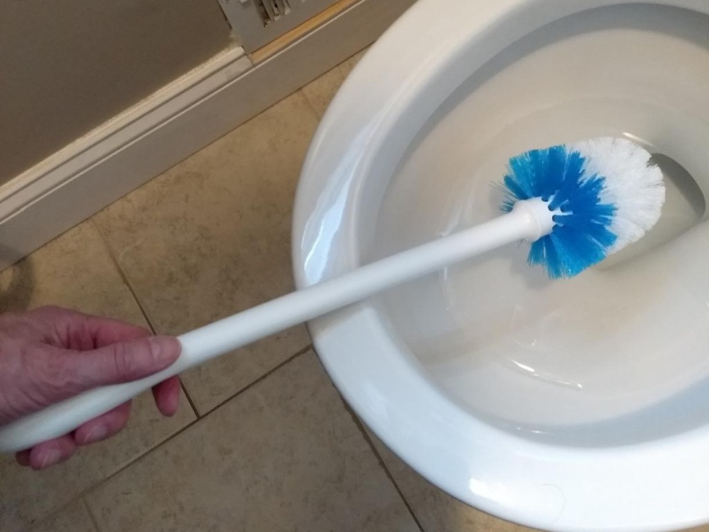 hand holding toilet brush over toilet