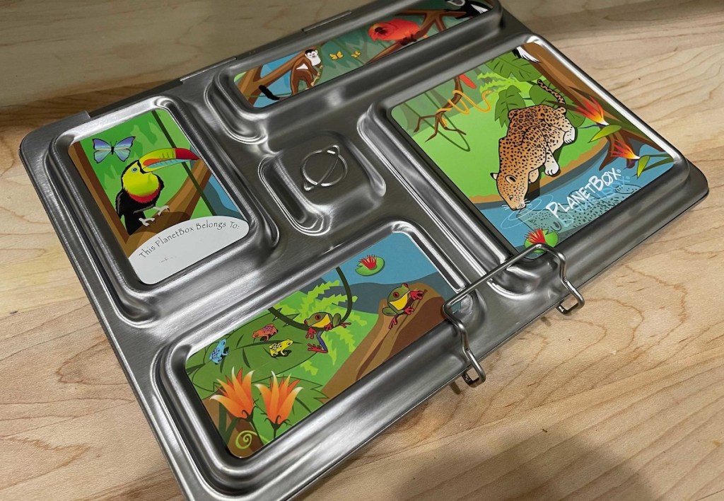 close up of safari themed bento box on countertop