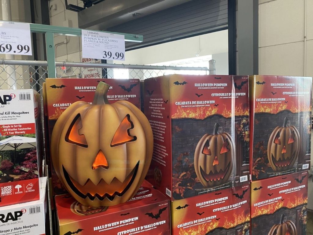 Halloween Pumpkin w/ Flickering Flames & Sound Only 39.99 at Costco