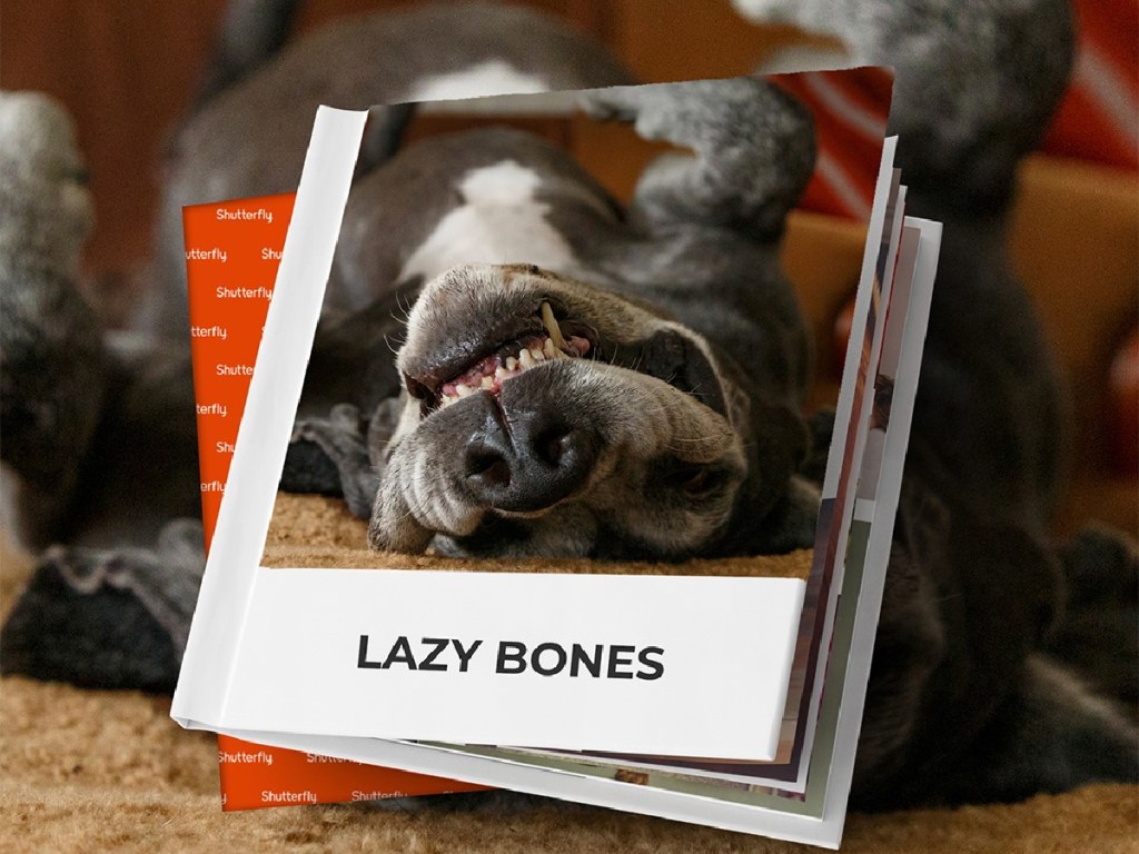 book with dogs face saying "lazy bones"