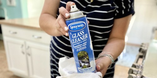 Sprayway Glass Cleaner Just $2.12 Shipped on Amazon | Team Favorite