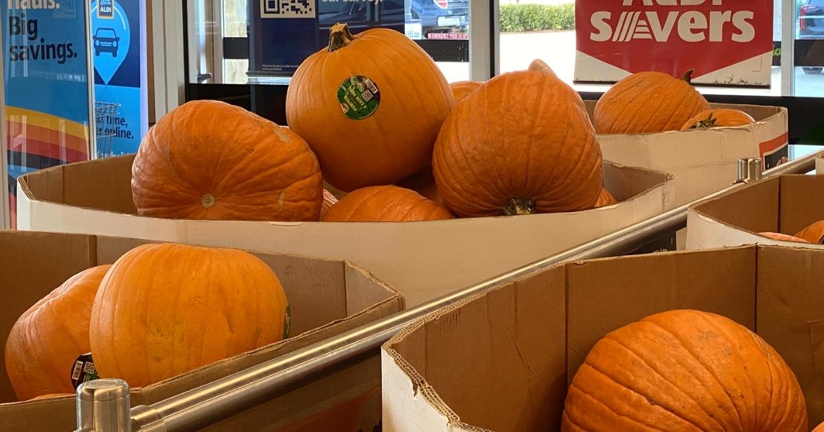Large Pumpkins Available at ALDI Perfect for Fall Decorating, Carving