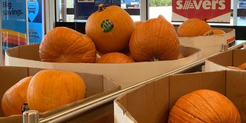 Large Pumpkins Available at ALDI | Perfect for Fall Decorating, Carving, & More