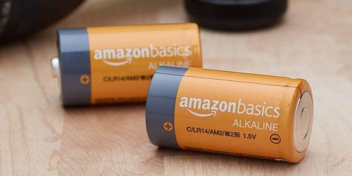 Amazon Basics C Batteries 24-Pack Only $4 Shipped on Amazon (Regularly $18)