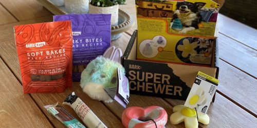 Super Chewer Box ONLY $17.60 Shipped (Includes Two Toys & Two Full-Size Treat Bags!)