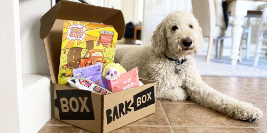 *HOT* 50% Off ANY BarkBox Subscription (Including Single Month Plans!)