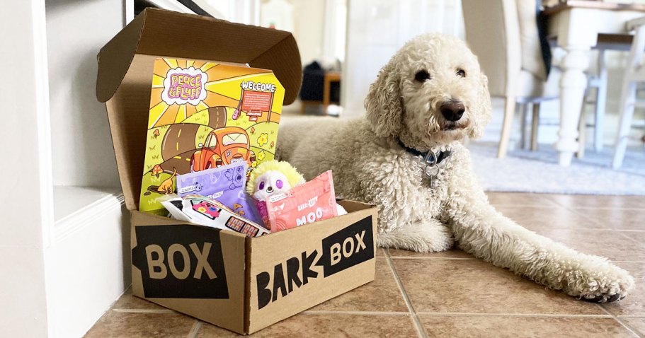 *HOT* 50% Off ANY BarkBox Subscription (Including Single Month Plans!)