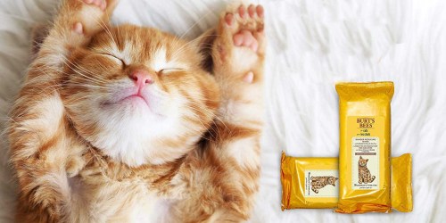 Burt’s Bees for Cats Dander Reducing Wipes Only $2.97 Shipped on Amazon (Regularly $10)