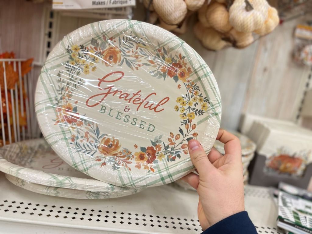 hand holding pack of paper plates