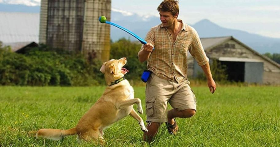 man and a dog playing fetch in a field