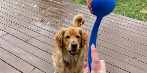 ChuckIt Ball Launcher w/ Ball Only $6.99 Shipped for Prime Members (Reg. $14) | Great Exercise for Your Pup