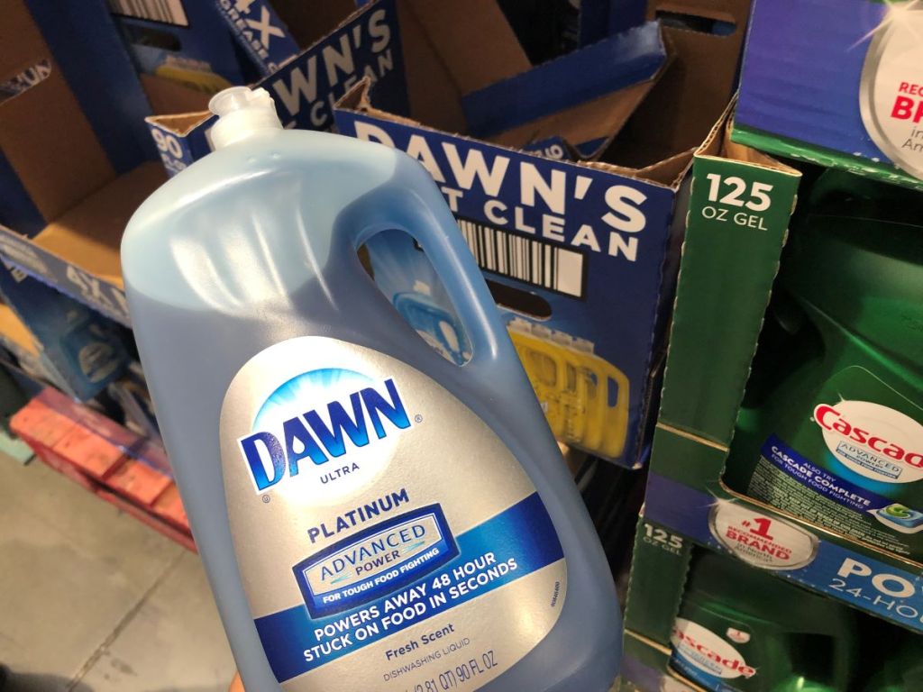hand holding a huge bottle of Dawn