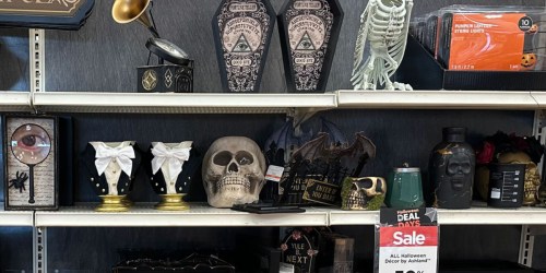 10 of the Best Michaels Halloween Decor Finds… And They’re All 50% Off!