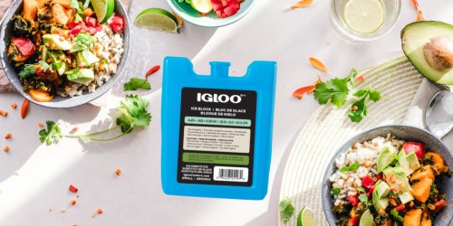 Igloo Ice Block Only 98¢ on Amazon | Remains Cold for Hours
