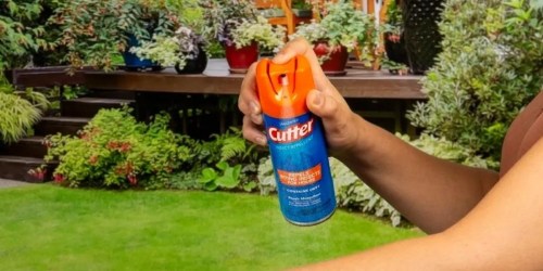 Insect & Mosquito Repellents from 49¢ on RiteAid.com | Off, Cutter, & More