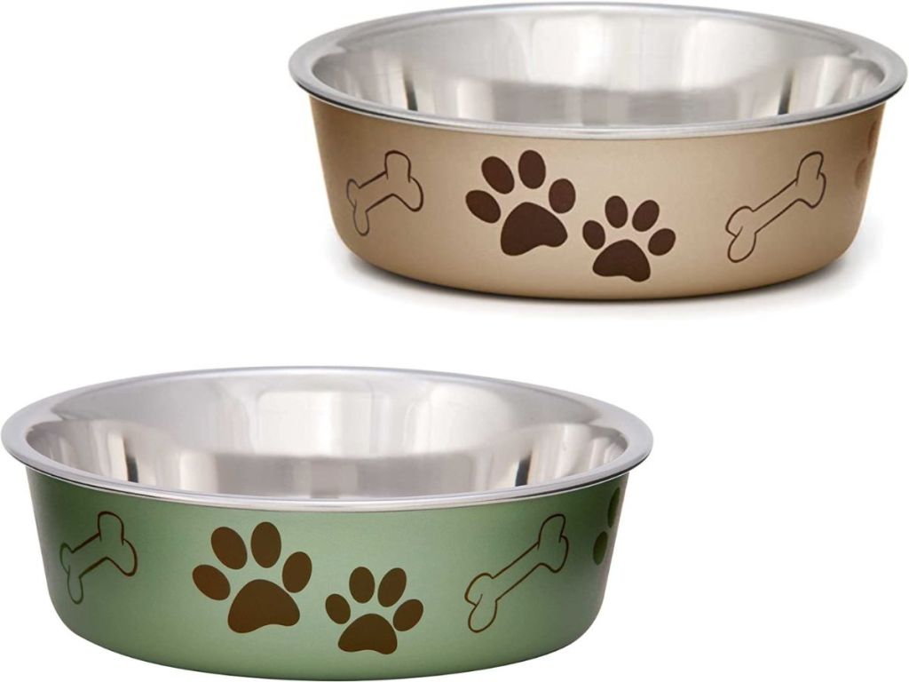 stock images of two loving pets dog bowls 