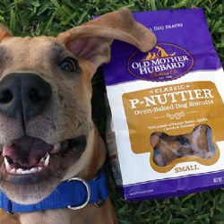 Old Mother Hubbard Dog Treats from $3.83 Shipped on Amazon