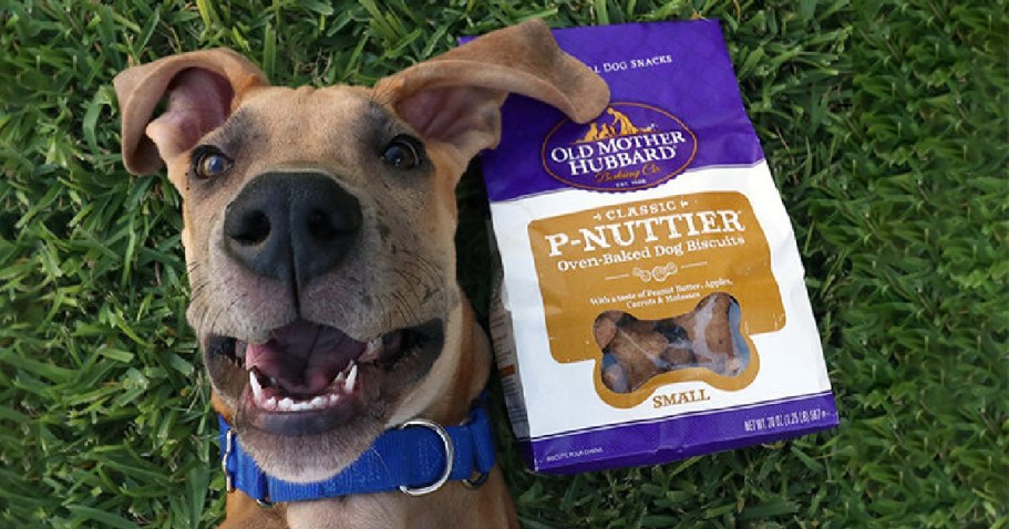 Old Mother Hubbard Wellness Dog Biscuits Bag Just $2.59 Shipped on Amazon (Reg. $7)