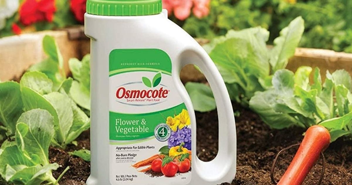 Osmocote Smart-Release Plant Food Only $9 on Amazon (Regularly $18)