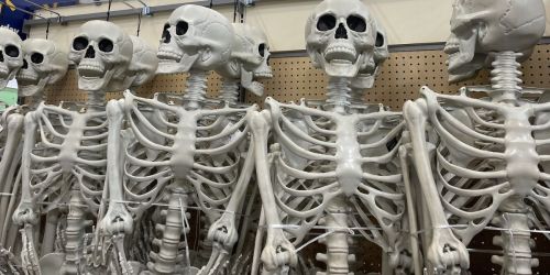 Party City is Offering BOGO FREE Life-Size Poseable Skeletons | Just $59 for TWO (Only $29.50 Each)
