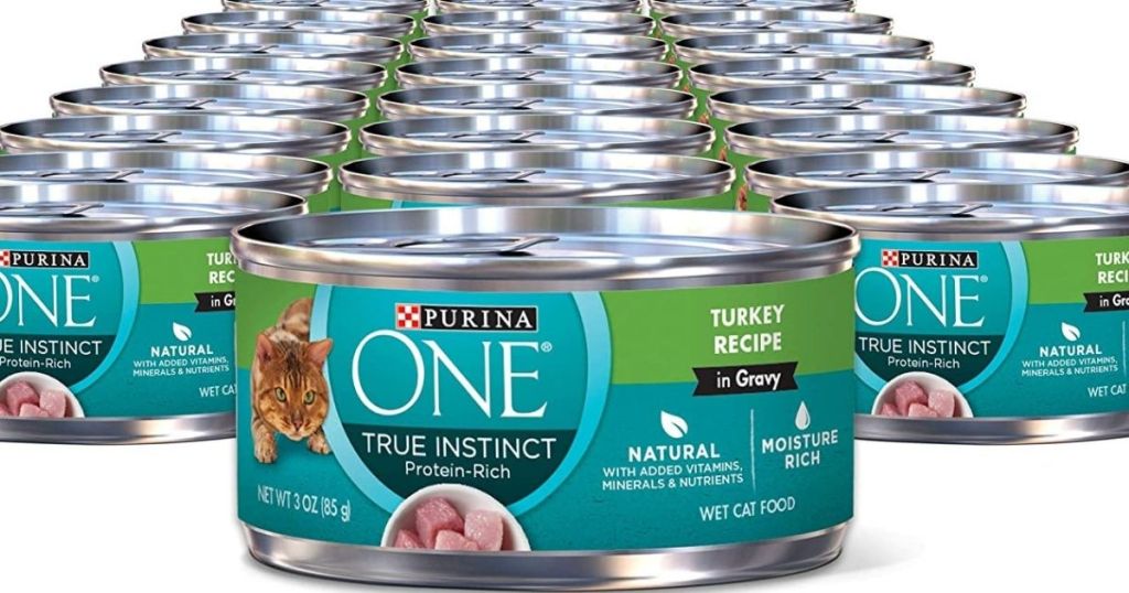 cans of cat food