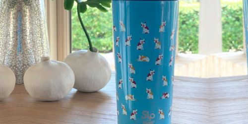 S’ip by S’well 24oz Stainless Steel Tumbler Just $10.93 on Chewy (Regularly $25)