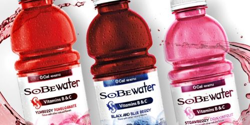 Sobe Water Variety Pack 12-Count Only $12.53 Shipped on Amazon (Regularly $17)