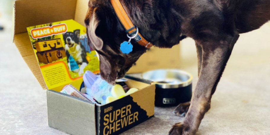 Super Chewer Bark Box JUST $17.60 Shipped (Includes Two Toys & Two Full-Size Treat Bags!)