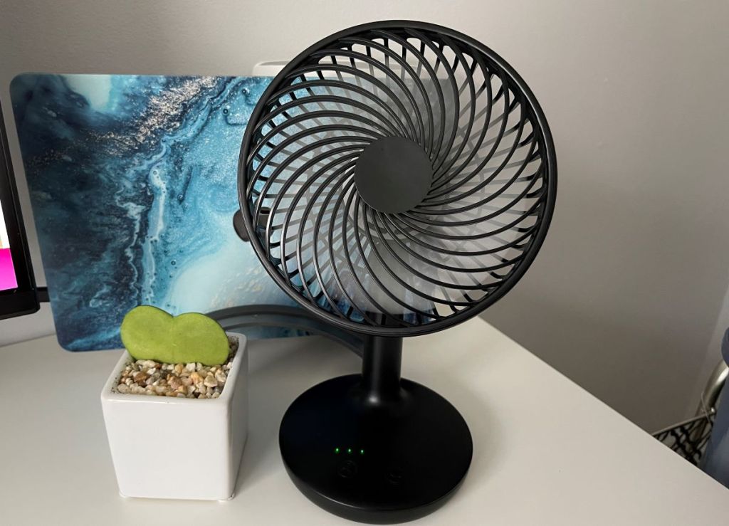 fan next to a plant