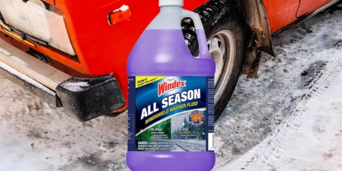 Windex All-Season Windshield Washer Fluid Gallon Only $1.45 w/ Free Pickup at Advance Auto Parts (Regularly $6)