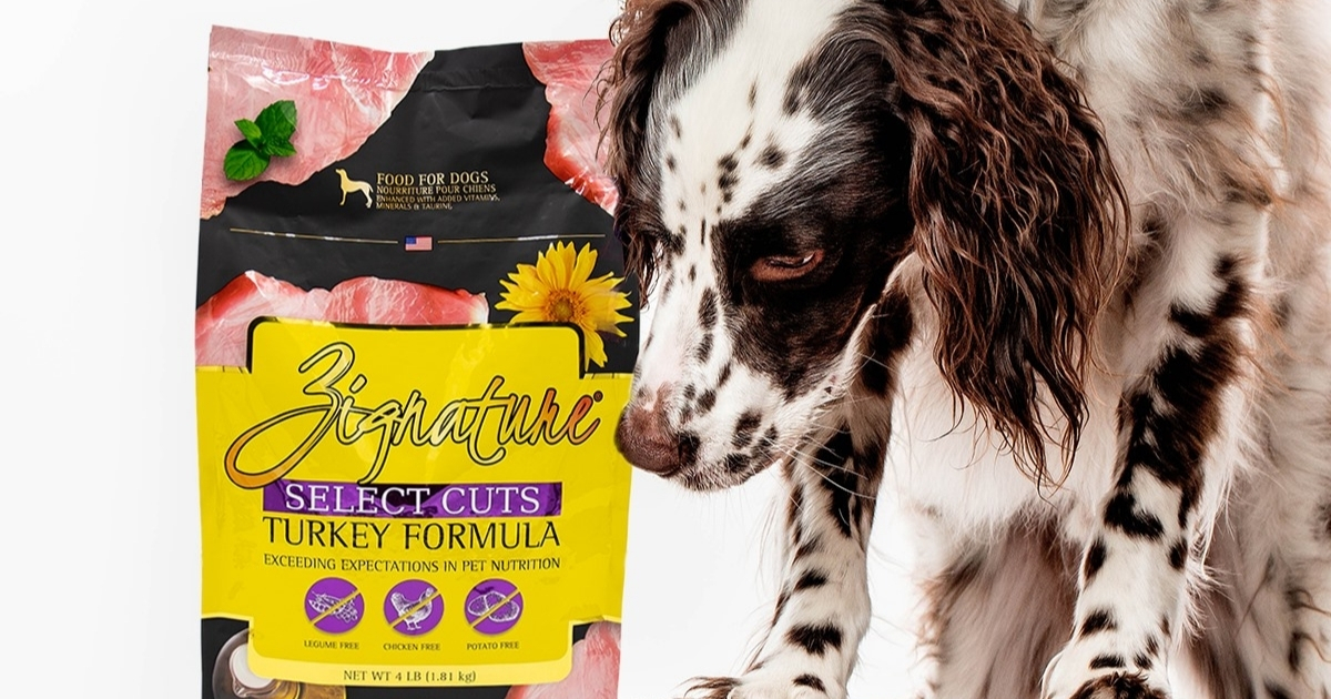 dog sniffing zignature dog food bag