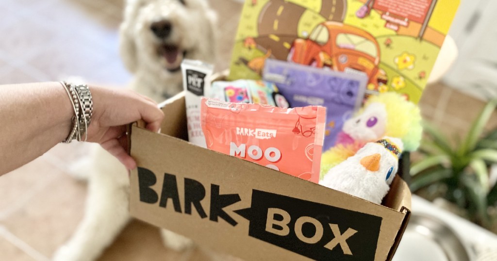 barkbox in hand w/ dog