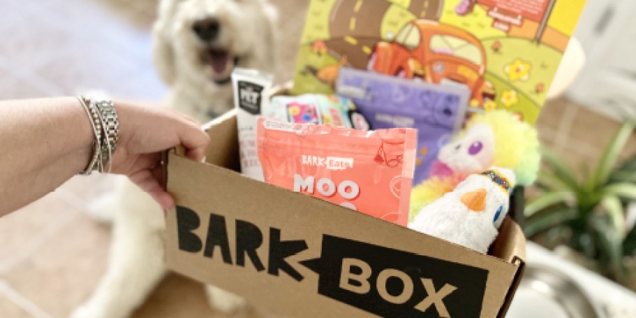 50% Off Your First BarkBox (Includes Single-Month Plans) | Toys & Treats for Your Pups!