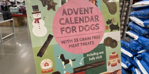 Advent Calendar for Dogs Just $9.98 at Sam’s Club | Includes 35 Grain-Free Meat Treats